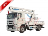 Platform Lift Truck ISUZU